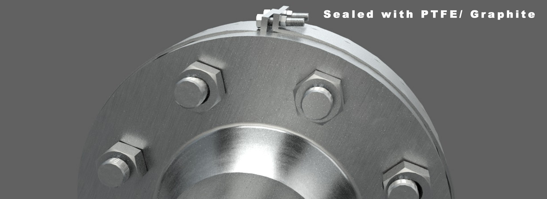 flange guards sealed with PTFE